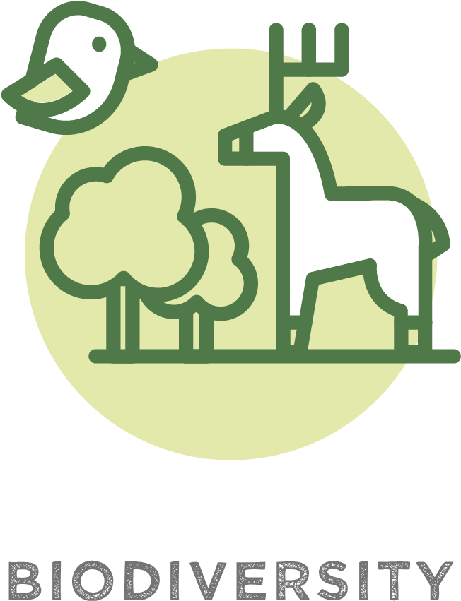 Earth Day Quiz - End Greed Sticker (rectangle) (651x863), Png Download