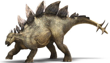 Stegosaurus - Stegosaurus Png (530x246), Png Download