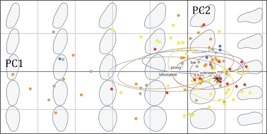 Biplot Of The Pca Performed On All Stegosaurus Plates - Circle (850x429), Png Download