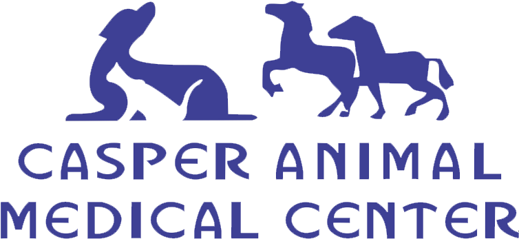 Casper Animal Medical Center (753x382), Png Download