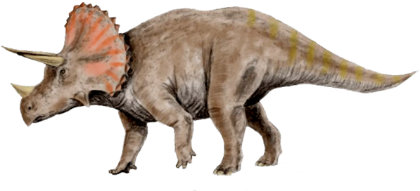 Fbr S2 Velociraptor Vs Triceratops - Triceratops Dinosaur Transparent Background (640x301), Png Download