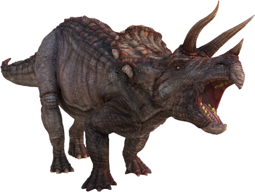 Triceratops - Advanced Graphics 1037 Triceratops Cardboard Standup (500x377), Png Download