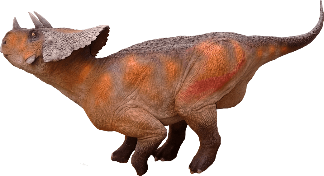 Triceratops - Dinosaur Avaceratops Png (1040x566), Png Download