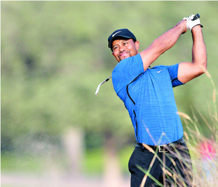 Tiger Woods - - Tiger Woods (667x375), Png Download