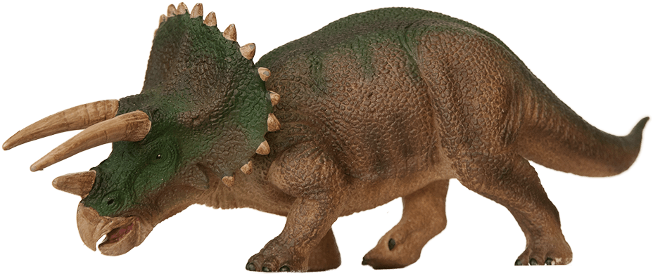 Annica Roos, Nrm - Triceratops (928x393), Png Download