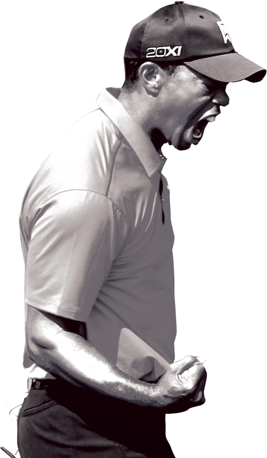 Tiger - Sitting (720x1280), Png Download