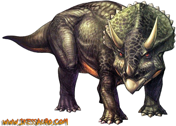 Source - Vignette1 - Wikia - Nocookie - Net - Triceratops Png (631x441), Png Download