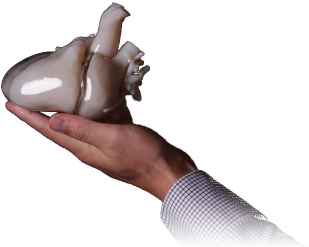 We Demonstrate The Entire Workflow, Starting From Image - Chocolate (627x495), Png Download