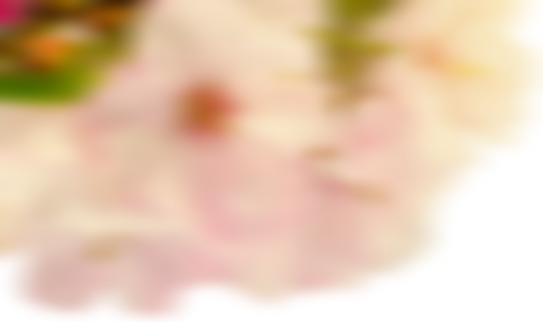Flower - Peach (777x461), Png Download