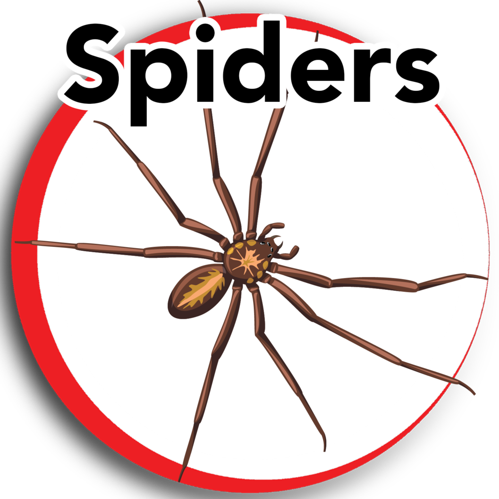 Keep Calm And Respect Seniors (1000x1000), Png Download