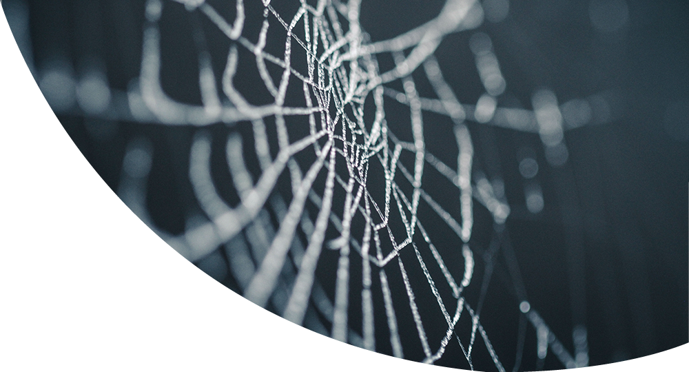 Pest Control-spiders - Spider Web (1000x540), Png Download