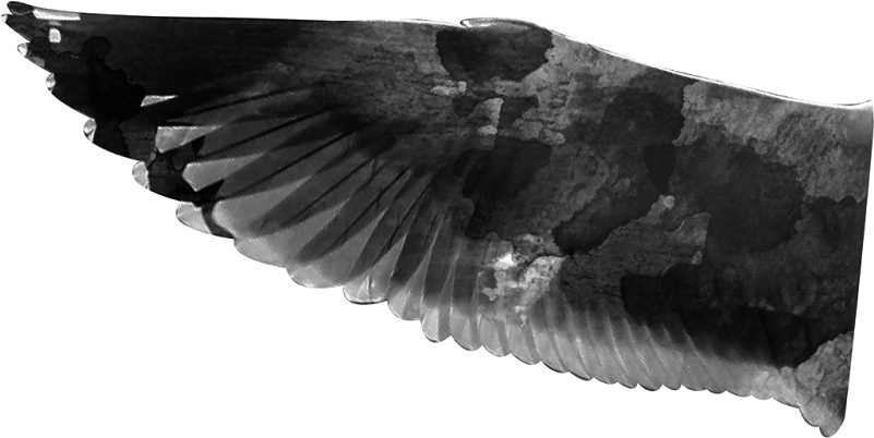 Walk In The Wood Png - Portable Network Graphics (1600x1200), Png Download