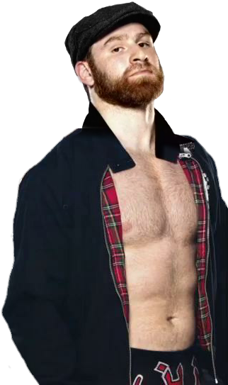 Sami Zayn Png/render By Wweeditedmatchcards Wwe Wwerend - Sami Zayn (336x550), Png Download