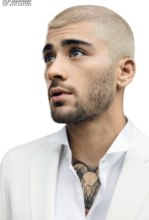 Png And Zayn Malik Image - Zayn Malik (500x750), Png Download