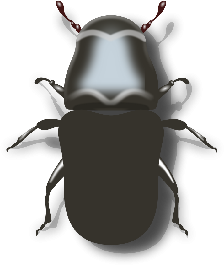 Beetle Clipart Png File Tag List, Beetle Clip Arts - Beetle (900x900), Png Download