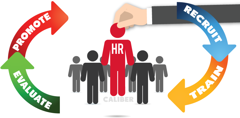 Mas Human Resources Management System Solution - Now Hiring Business Help Wanted Window Sign (850x436), Png Download
