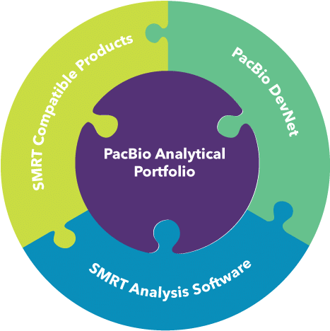 Taking Long Read-sequencing From Data To Discovery - Software (500x580), Png Download