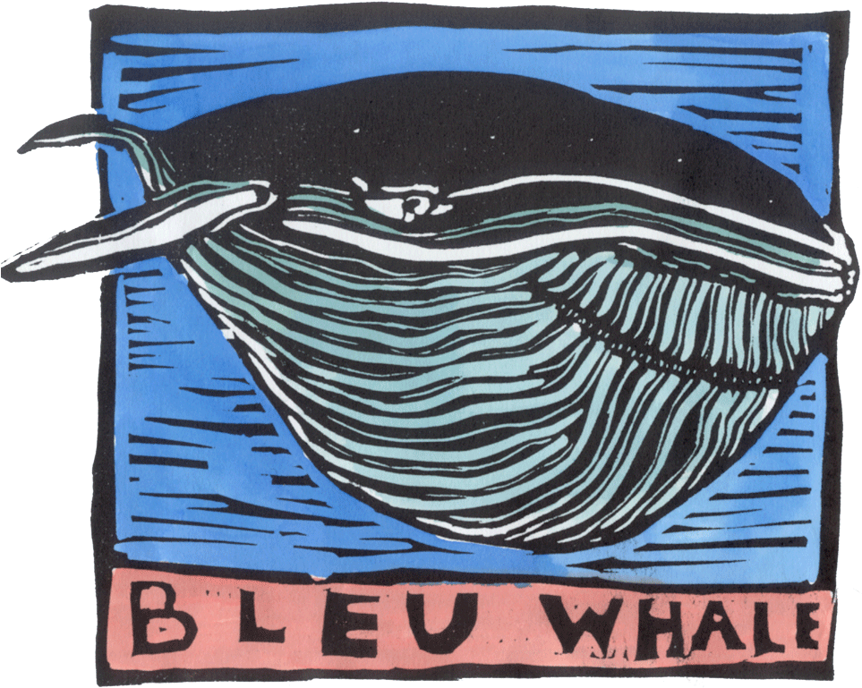 Villa Blue Whale - Villa (977x806), Png Download