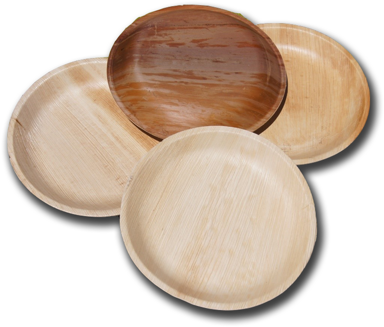 Biodegradable Palm Leaf Dishes - Plywood (800x800), Png Download