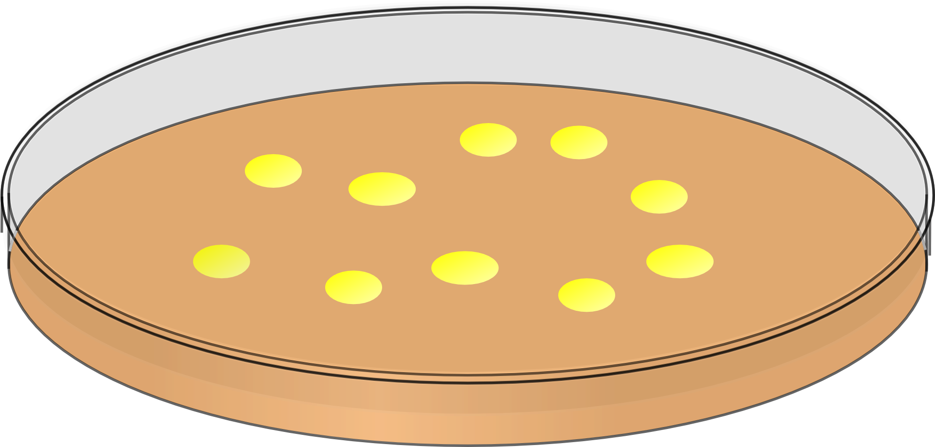 Bacteria Clipart Agar Plate - Agar Plate Clip Art (1920x960), Png Download