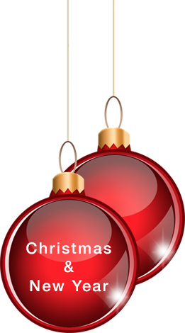 Our Factory Have Been Working Hard To Get Your Orders - Christmas Day (261x470), Png Download