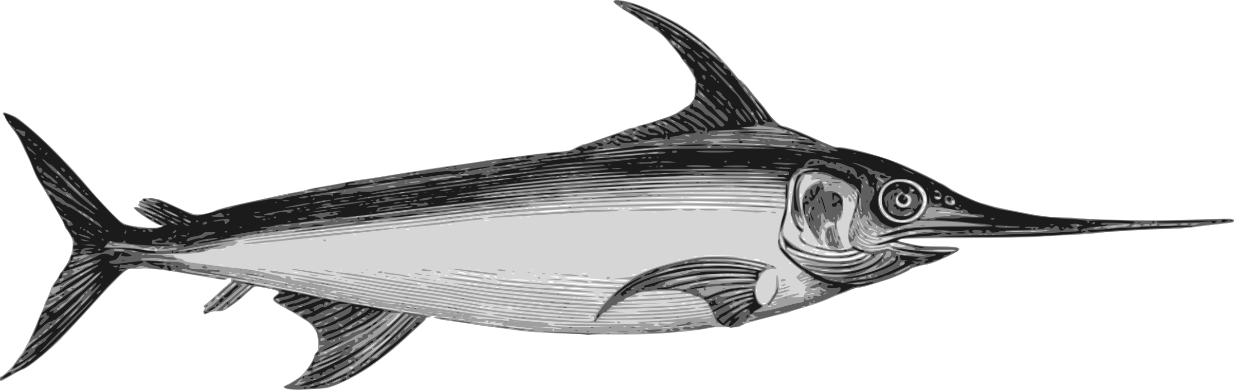 This Free Icons Png Design Of Swordfish 2 (2400x759), Png Download