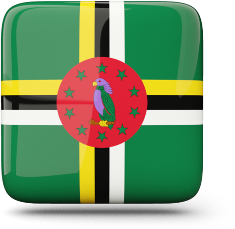 Dominica Flag Rectagle Glossy Shape - Dominica Flag Square (640x480), Png Download