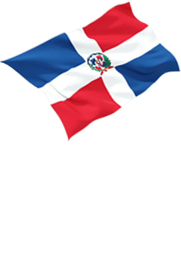 Best Partners - Flag (577x833), Png Download