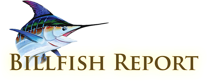 Home - Atlantic Blue Marlin (700x324), Png Download