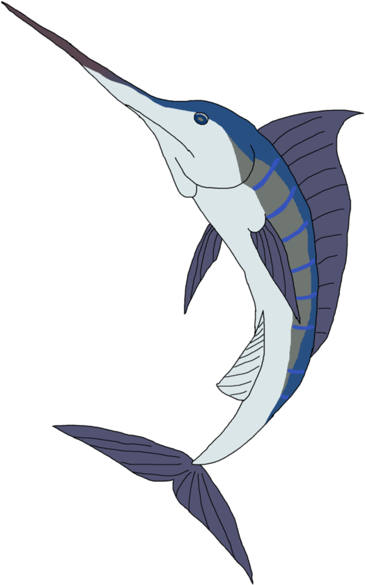 Swordfish Drawing Blue Marlin - Swordfish (774x1032), Png Download