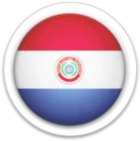 Paraguay Flag (501x502), Png Download