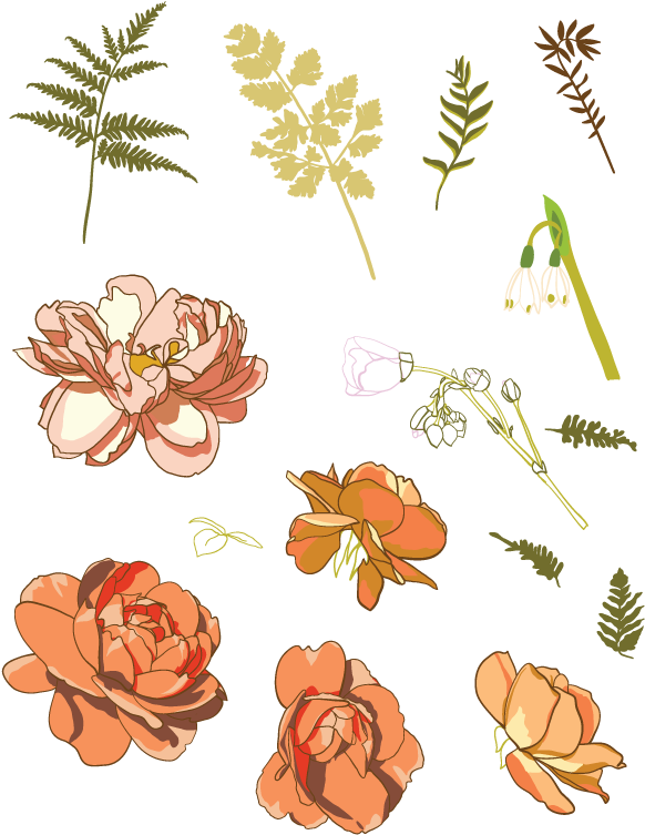 Advanced Illustrator Techniques Workshop - Illustrator (612x792), Png Download