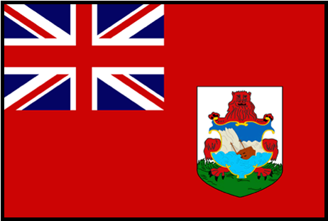 New Zealand Flag Toothpick (500x500), Png Download