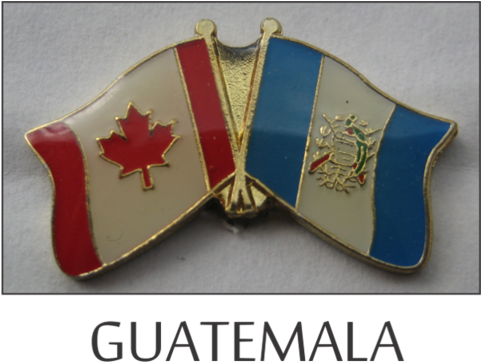 Flag Lapel Pins - Colegio Lancaster De Cuernavaca (480x480), Png Download