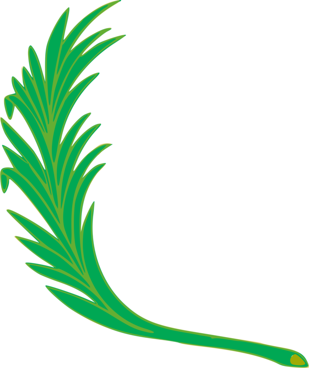 Flag Of Peru Coat Of Arms Of Peru National Symbols - Coat Of Arms Of Peru (630x750), Png Download