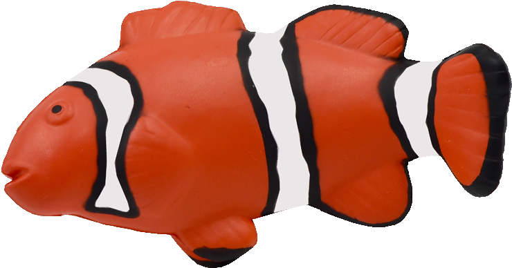 Maf-012 Clown Fish - Coral Reef Fish (843x558), Png Download
