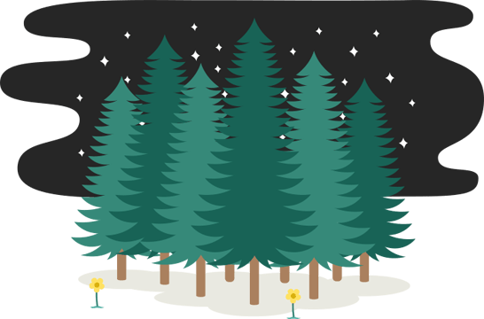 Illuminating A Window Still Stirs Feelings Of Joy And - Christmas Tree (546x360), Png Download