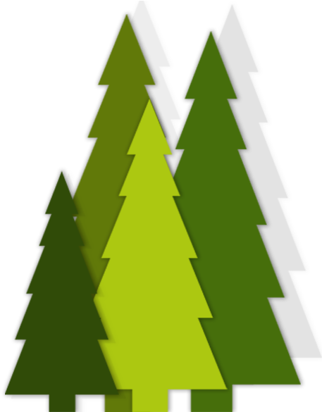 To Experience The Benefits Of Modern General Dentistry - Smile Gallery (480x600), Png Download