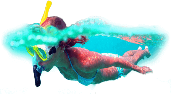 Your Snorkeling Package Excludes Your Snorkeling Equipment - Snorkeling Transparent (585x360), Png Download