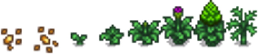 Artichoke Growth - Artichoke Stardew Valley (880x187), Png Download