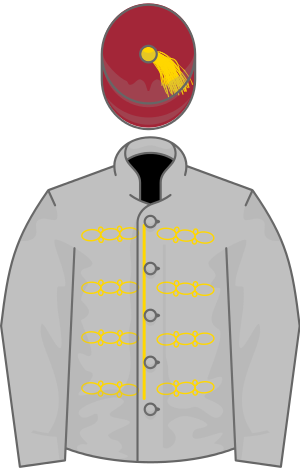 Prix Du Jockey Club - Al Shaqab Racing Silks (300x468), Png Download