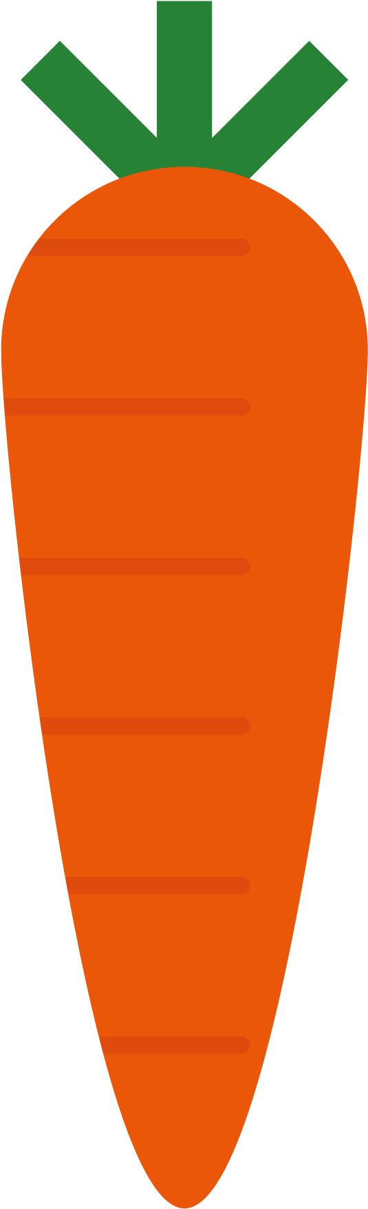 Carrot Radish Transprent Free (1001x2068), Png Download