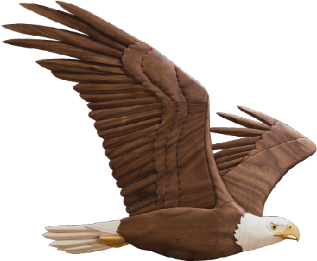 Soaring Eagle Png Transparent Image - Soaring Eagle (450x450), Png Download