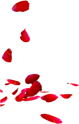 Share This Image - Rose Petals Png Transparent (750x600), Png Download