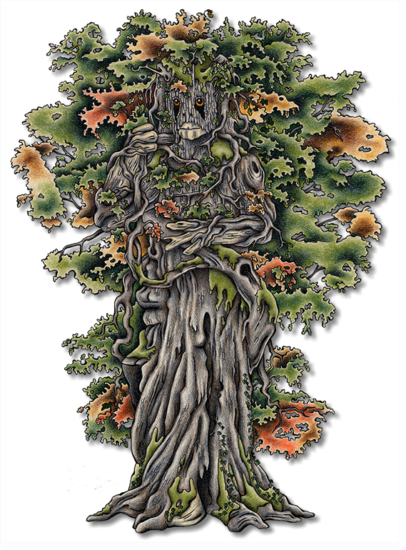 Eika Is The Seventh Troll - White Cedar (569x770), Png Download