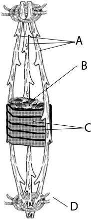 Homemade Karthikai Deepam Firework - Karthigai Deepam In Village (322x587), Png Download