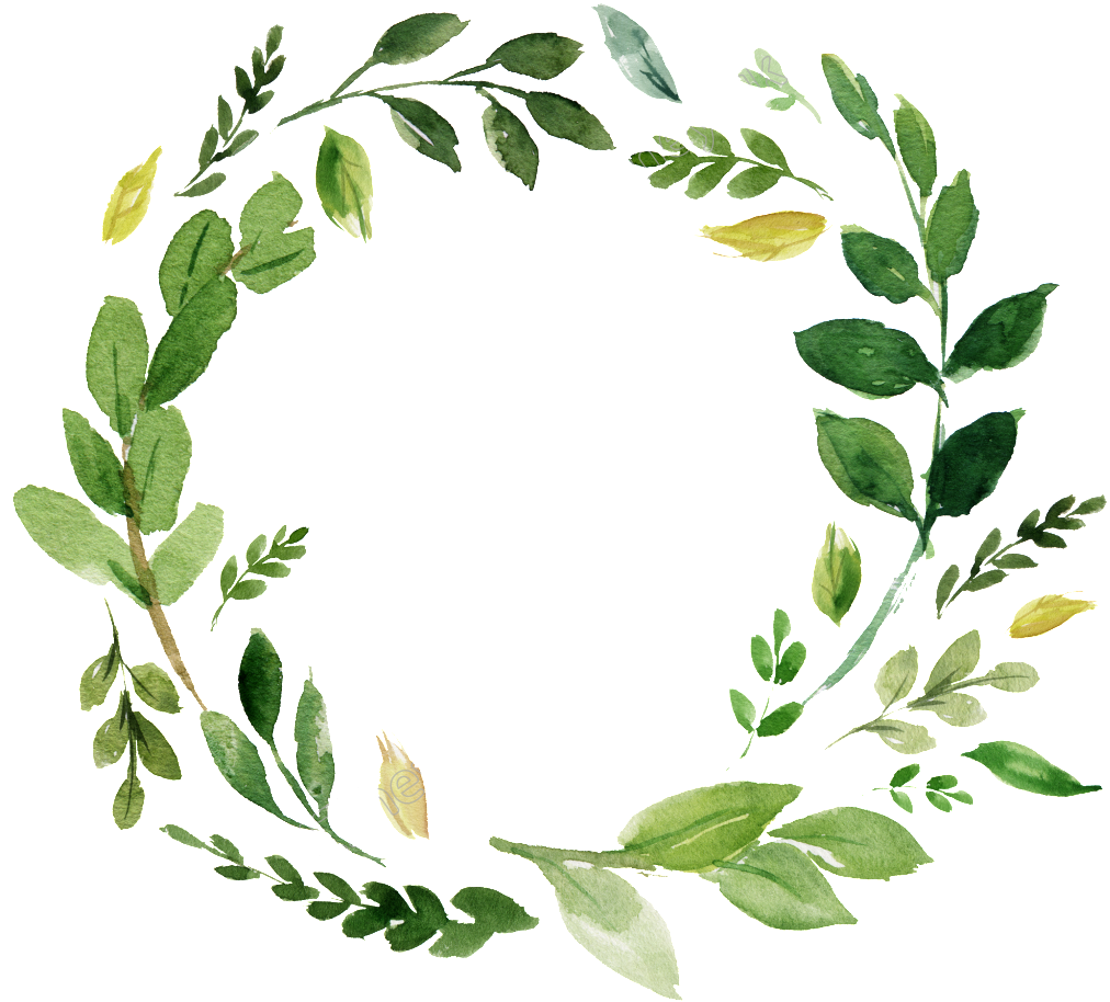 Picture Library Stock Free Buckle Download Png Files - White Flower Greenery Watercolor Psd (1024x969), Png Download