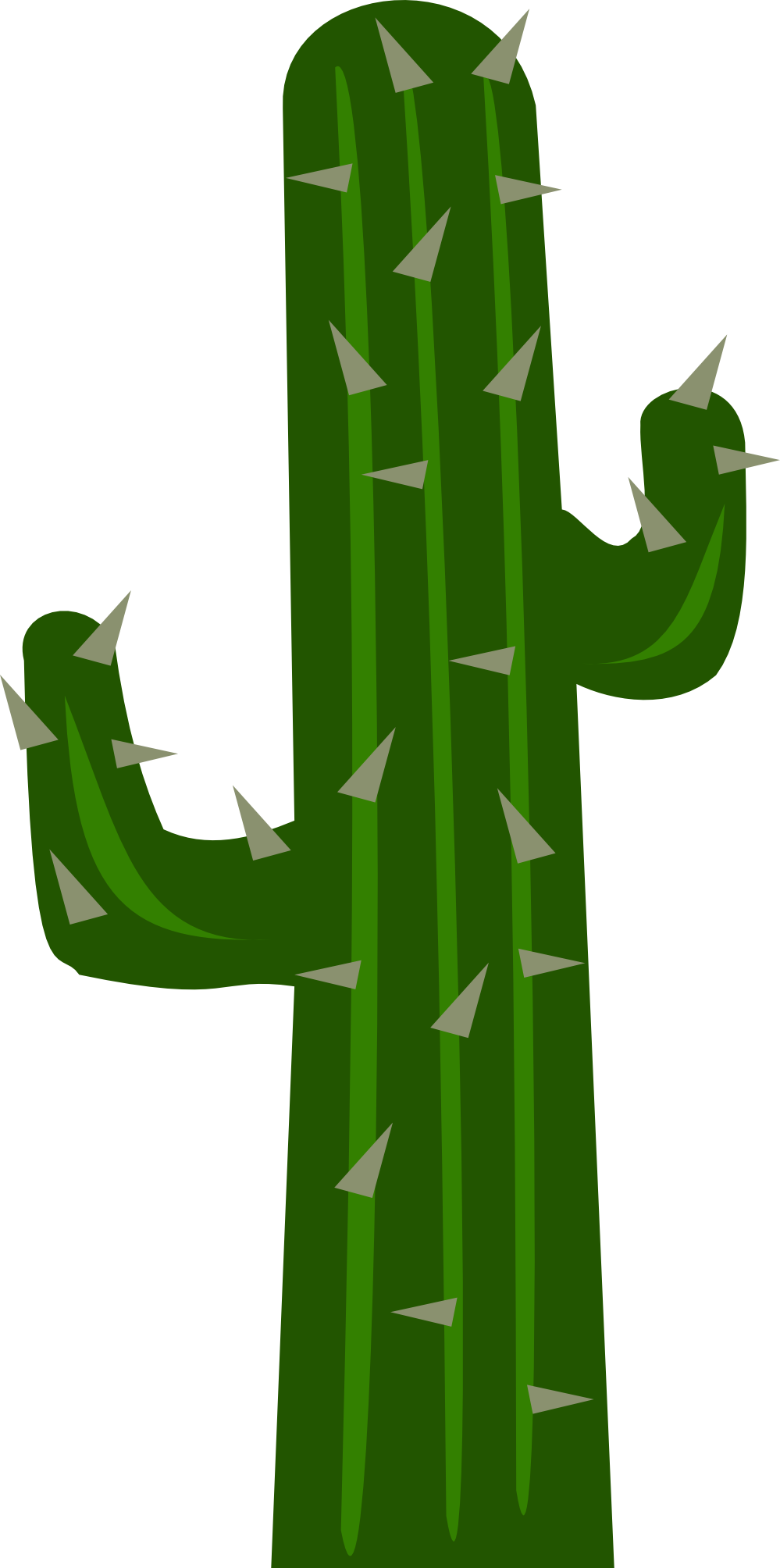 Collection Of Free Cactus Vector - Cactus Clipart Png (999x2008), Png Download