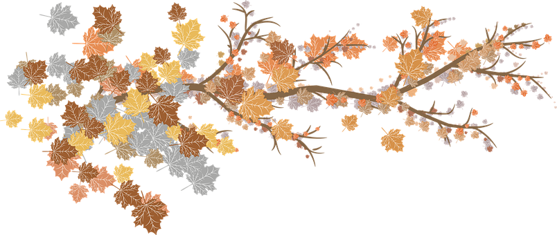 Leaves, Branches, Autumn, Nature, Plant - Branches Autumn Leaves Png (804x340), Png Download