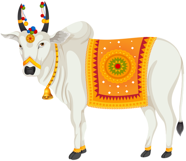 India Holy Cow Transparent Clip Art Image Indian Cow Png Hd Full Size Png Download Seekpng